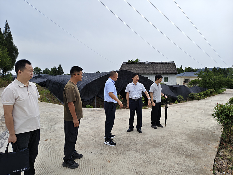 巴中發(fā)展集團(tuán)開(kāi)展安全生產(chǎn)暗訪督查